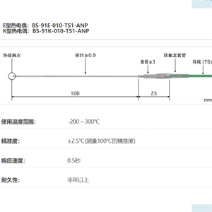 ANRITSU安立计器温度计液体・半固体用内部温度传感器BS-91-010-TS1-ANP