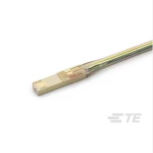 美国TE  侵入式压力传感器  SMI-1A-48-100-BBUU