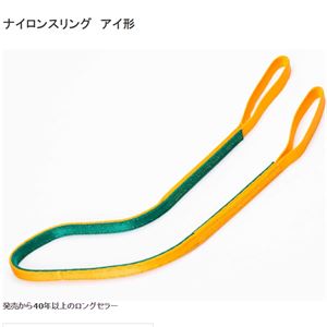 TORAY东丽吊带捆扎带ⅢE-50X4青岛平山郭-158-54210565