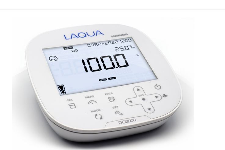 HORIBA堀场台式水质分析仪DO-2000详询  关159-0897-0566