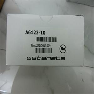 WATANABE渡边电机直流电压用数字面板仪表A6123-10青岛平山技研刘15621198049