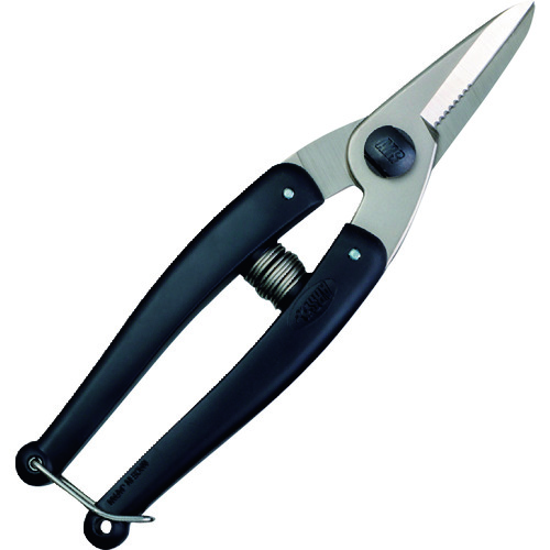 KG-QT-14.jpg KG-QT-14.jpg