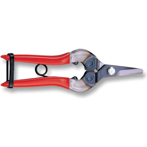 310-BP.jpg 310-BP.jpg