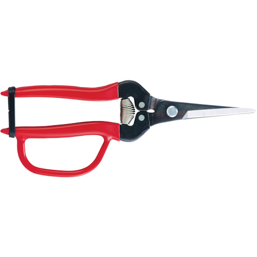 300LL-G-BP.jpg 300LL-G-BP.jpg