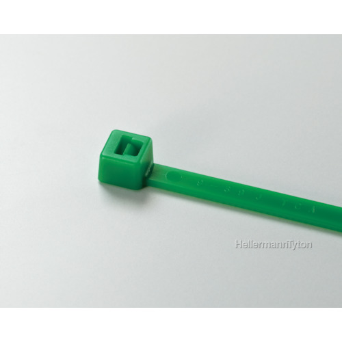 T120R-GRN.jpg T120R-GRN.jpg